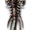 Rhyme Grim Shield