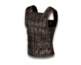 The Gladiator's Bane